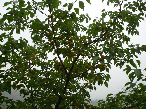 ����������������